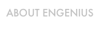 ABOUT ENGENIUS
